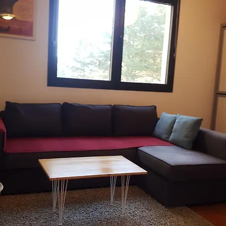 Con Garaje Cerca De Pistas Apartment